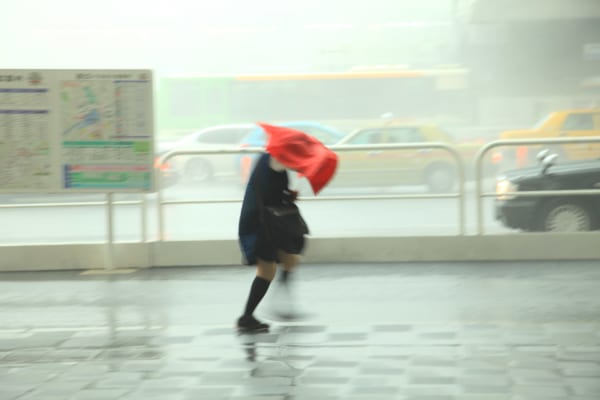 【台風対策】風に強い！おすすめの折りたたみ傘15選