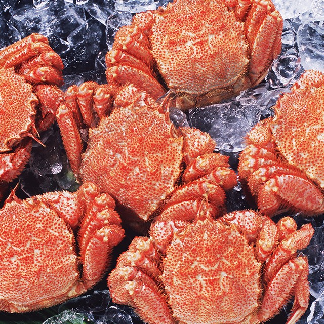 カニのおすすめの食べ方 お鍋やしゃぶしゃぶでカニを堪能しよ Wow Magazine ワウマガジン カニのおすすめの食べ方 お鍋やしゃぶしゃぶでカニを堪能しよ Wow Magazine ワウマガジン