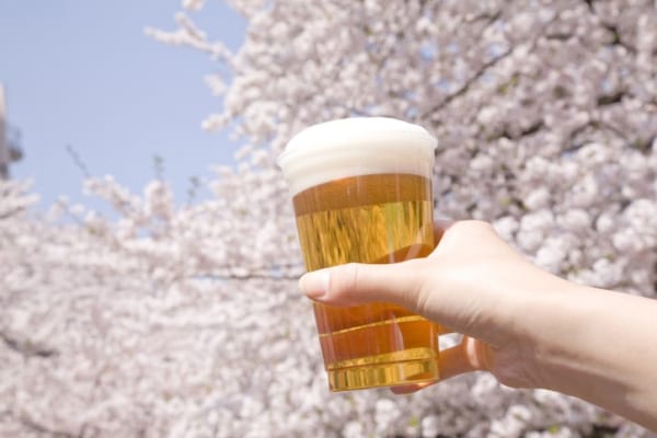 桜を眺めながら楽しみたい！お花見にぴったりな人気のお酒10選