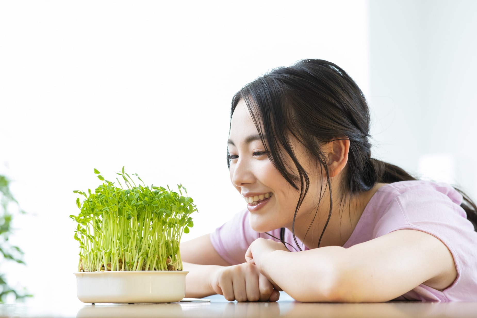 部屋でサラダ野菜が作れる?!土なし庭なしでも楽しめる水耕栽培 部屋でサラダ野菜が作れる?!土なし庭なしでも楽しめる水耕栽培