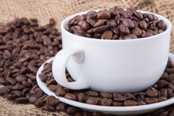 「ジャコウネココーヒー」って知ってる？最高級豆で楽しむ上質な家時間