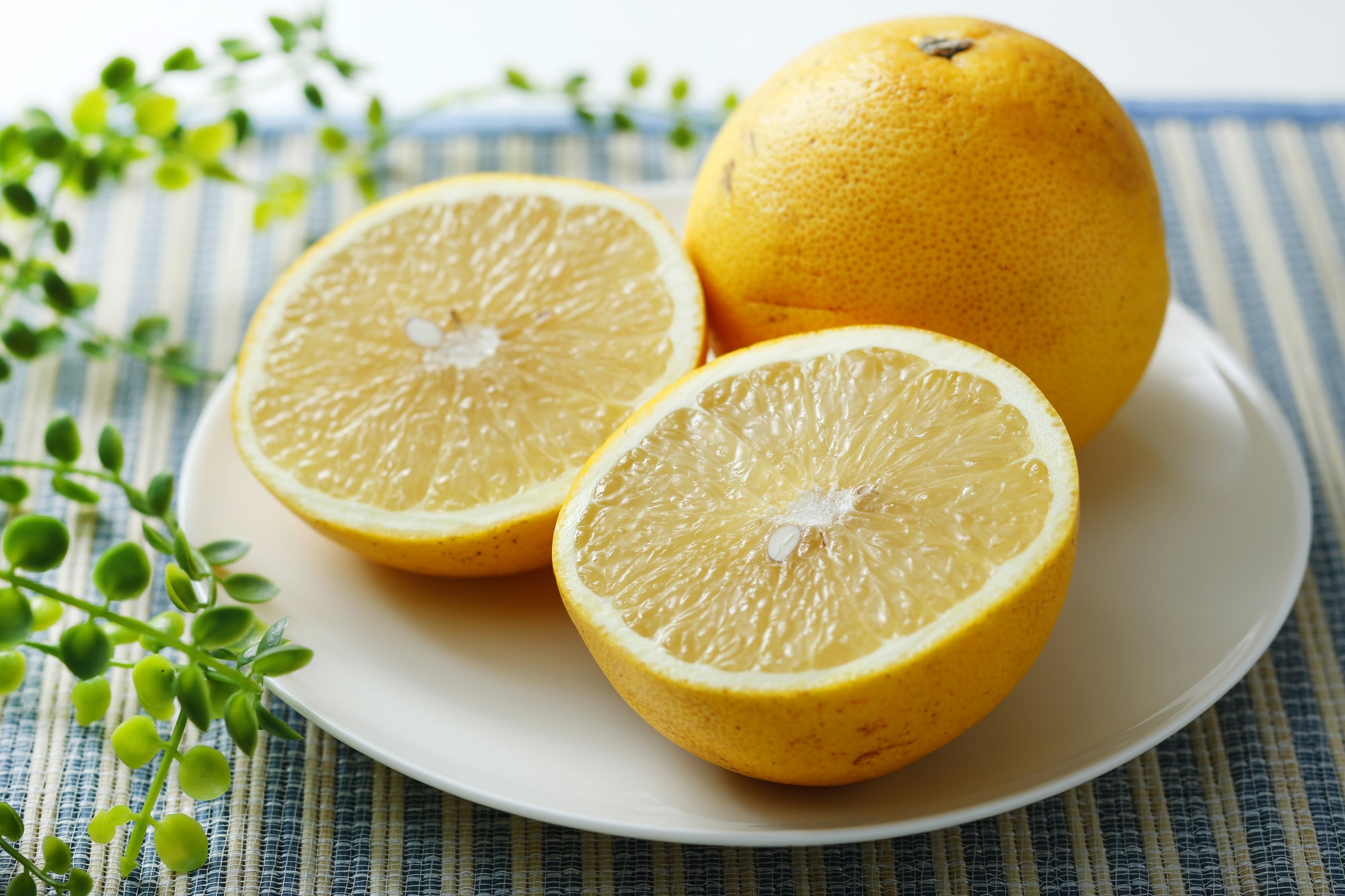 【今日は何の日?】ダイエットにおすすめ!グレープフルーツで脂肪燃焼?!