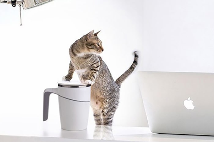 これは手ごわいニャ！「猫が乱入しても倒れないマグカップ」はPC作業の味方